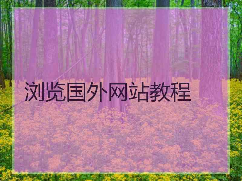 浏览国外网站教程