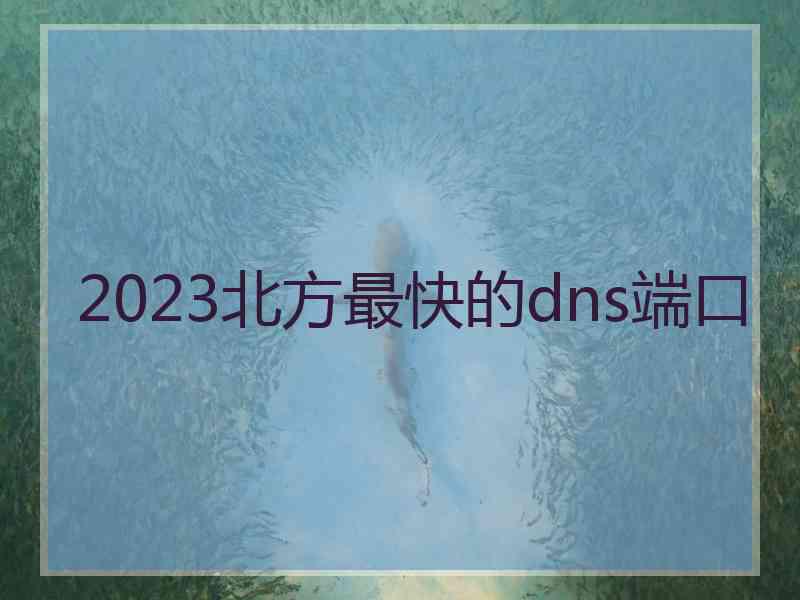 2023北方最快的dns端口