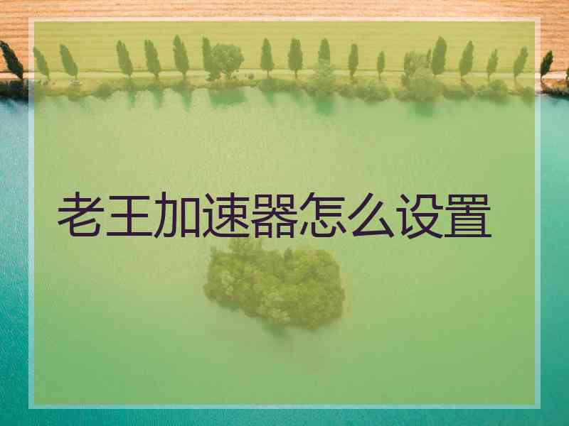 老王加速器怎么设置