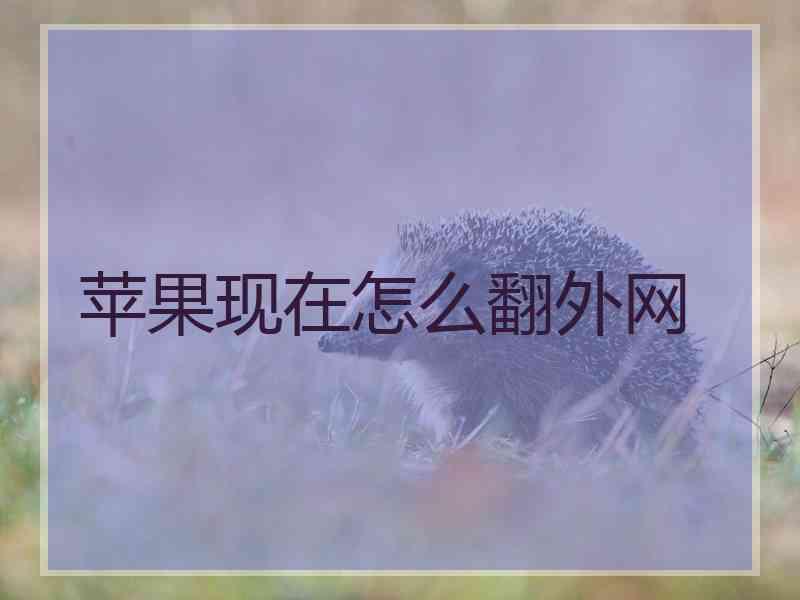 苹果现在怎么翻外网