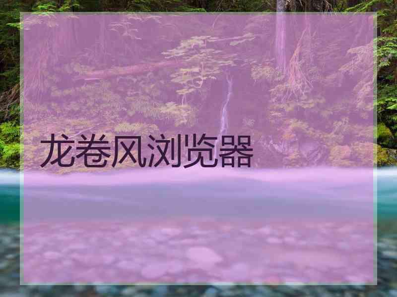 龙卷风浏览器