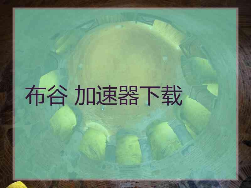布谷 加速器下载