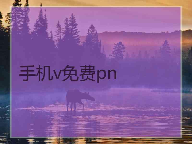 手机v免费pn