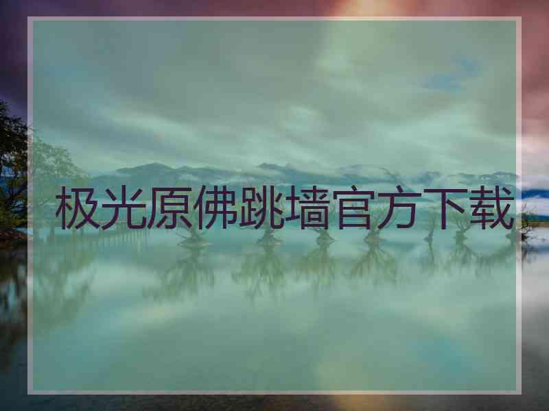 极光原佛跳墙官方下载
