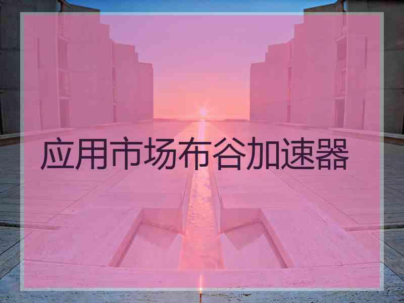 应用市场布谷加速器
