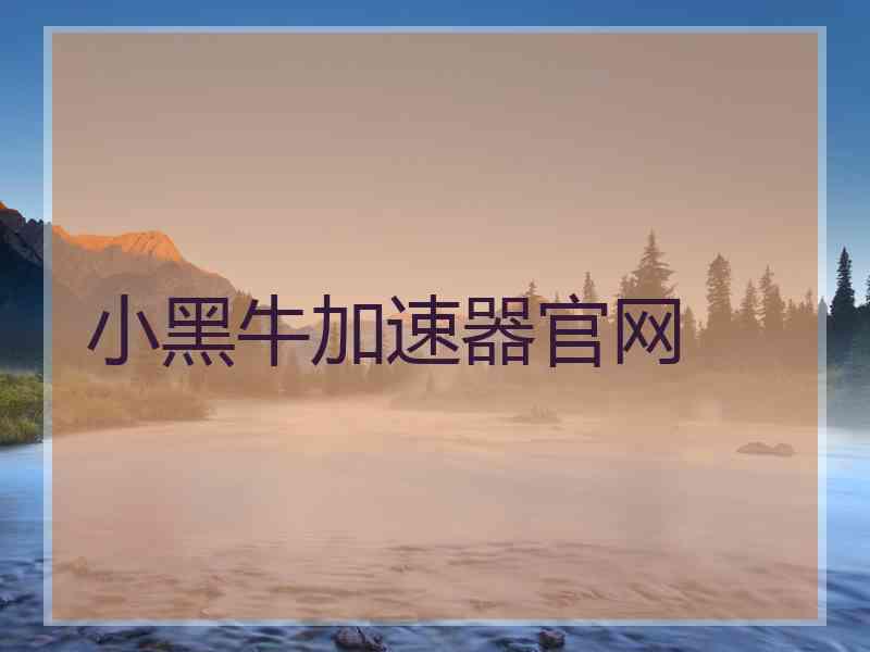 小黑牛加速器官网