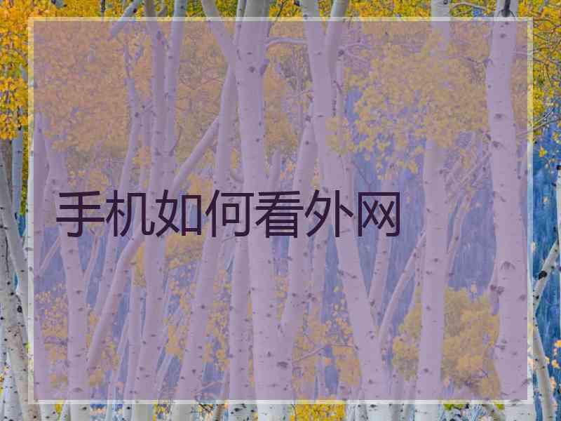 手机如何看外网