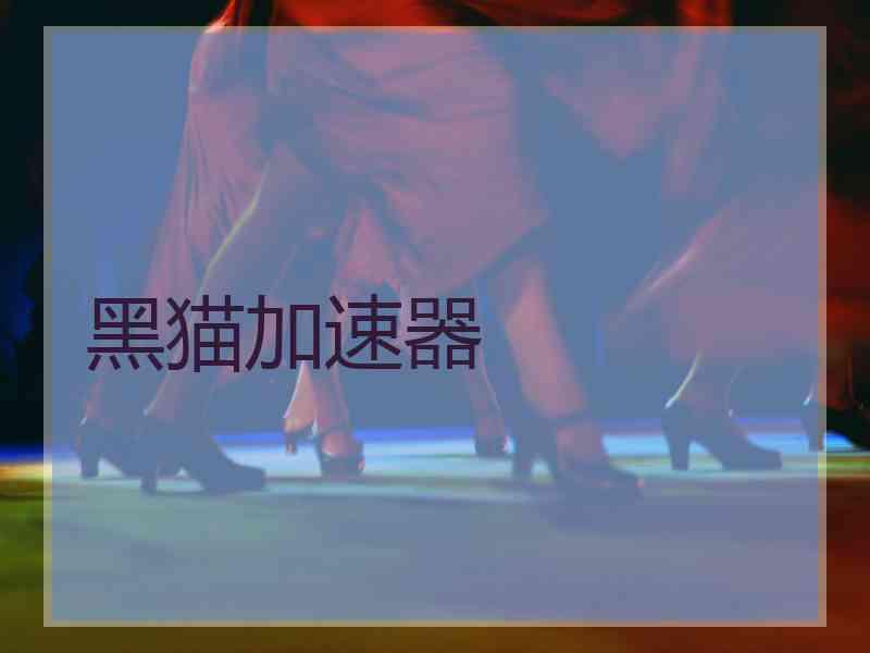 黑猫加速器