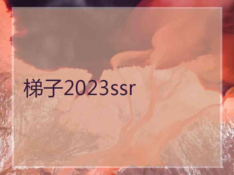 梯子2023ssr