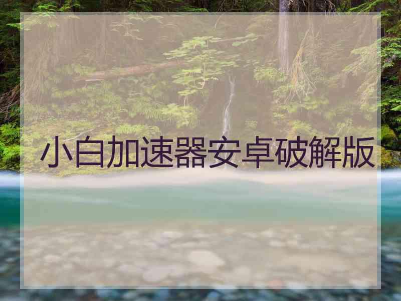 小白加速器安卓破解版