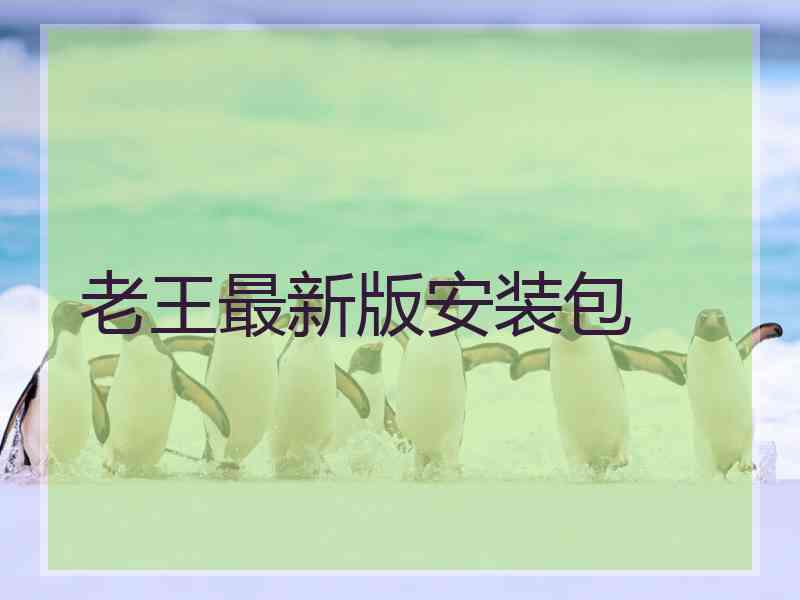 老王最新版安装包