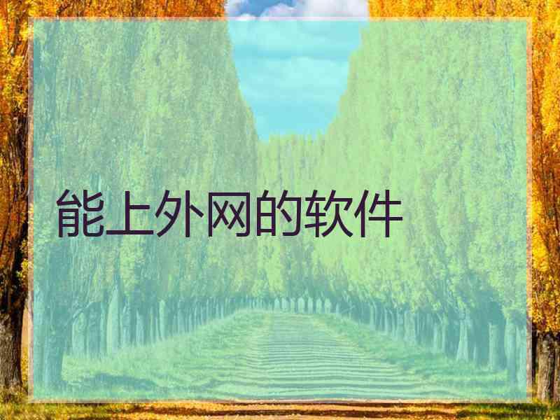能上外网的软件