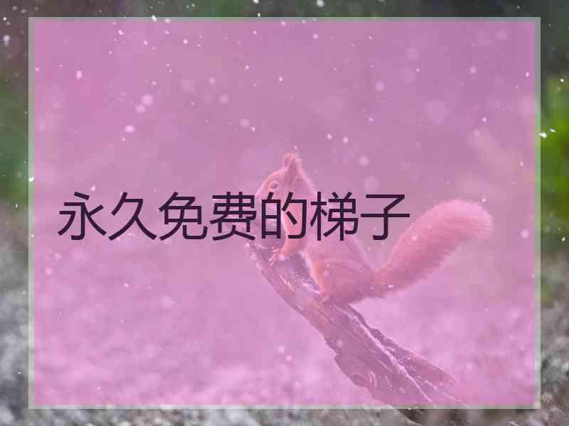 永久免费的梯子