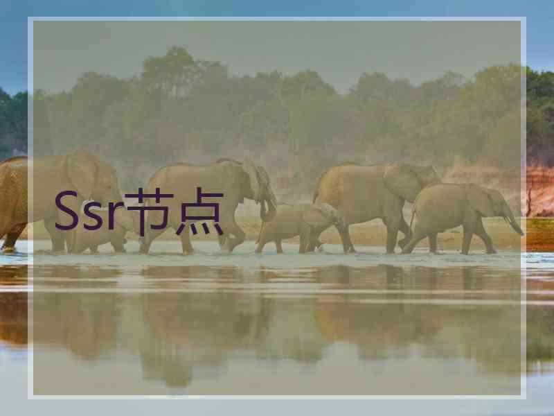 Ssr节点