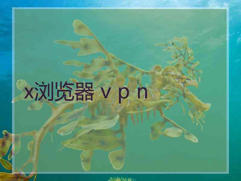 x浏览器 v p n