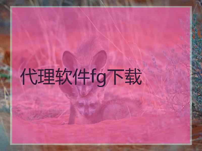 代理软件fg下载