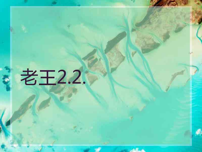 老王2.2.