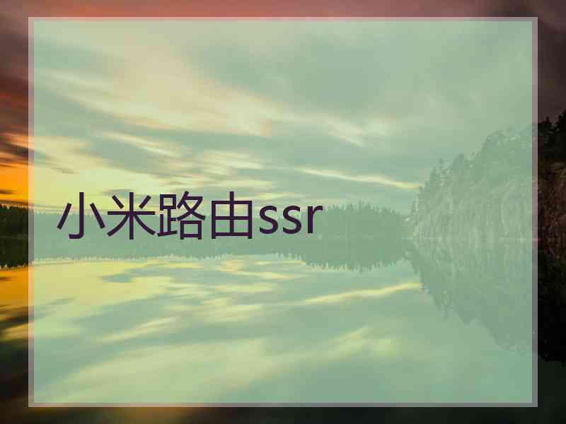 小米路由ssr