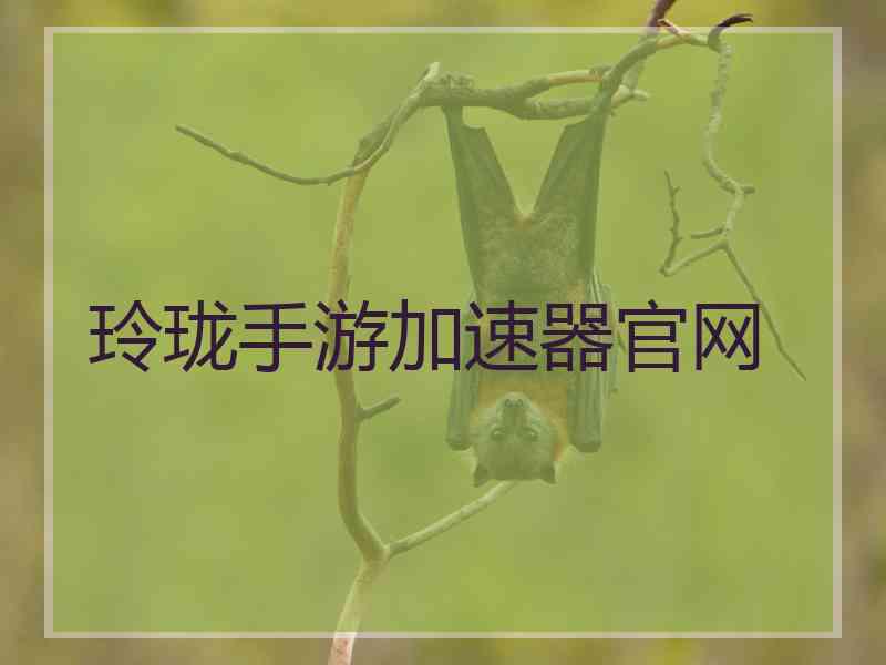 玲珑手游加速器官网