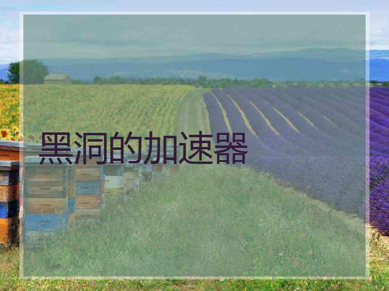 黑洞的加速器