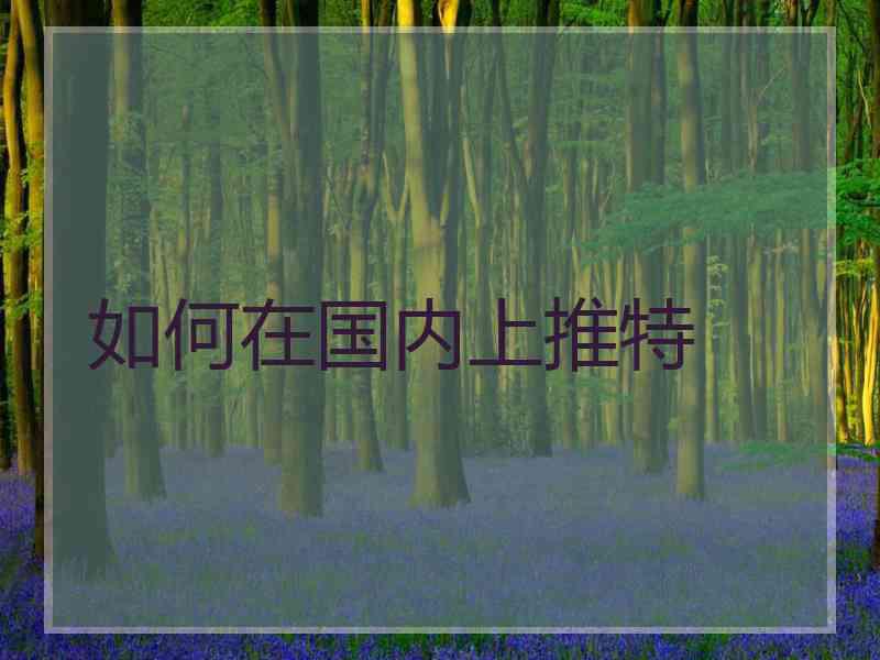 如何在国内上推特