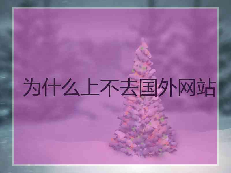 为什么上不去国外网站