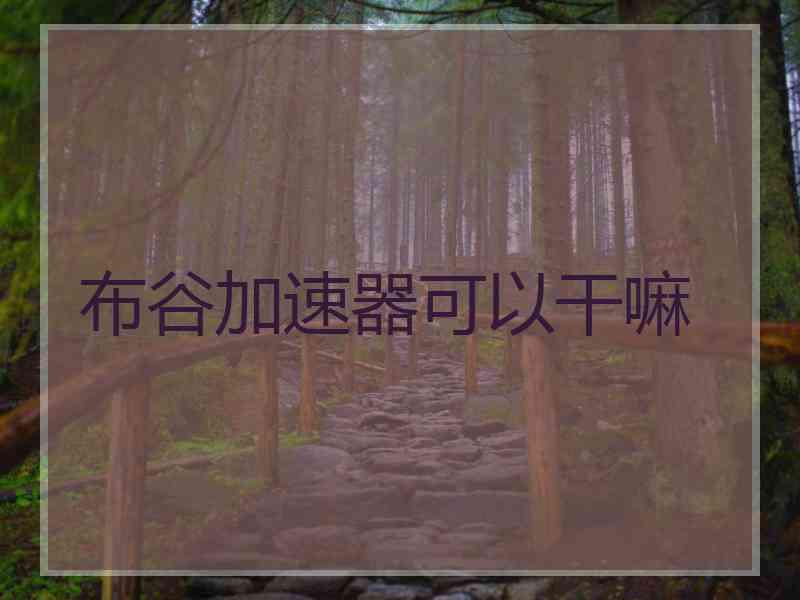 布谷加速器可以干嘛