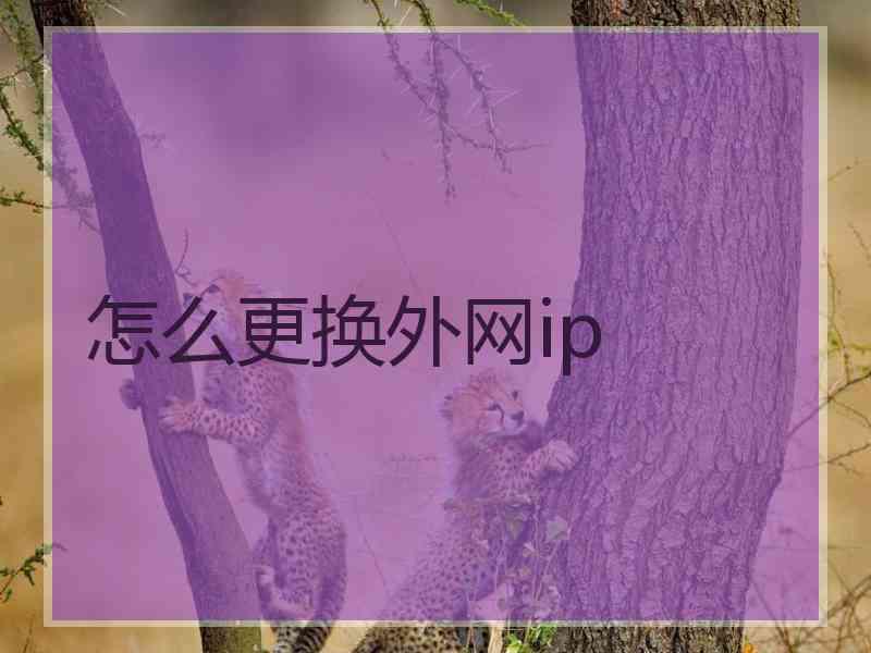 怎么更换外网ip