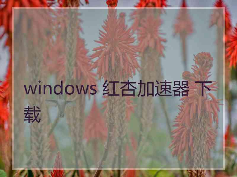 windows 红杏加速器 下载