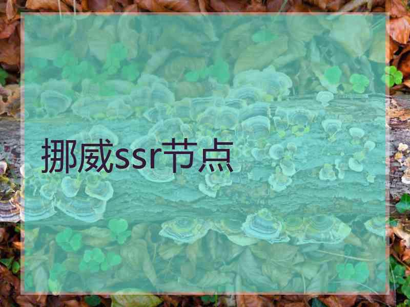 挪威ssr节点