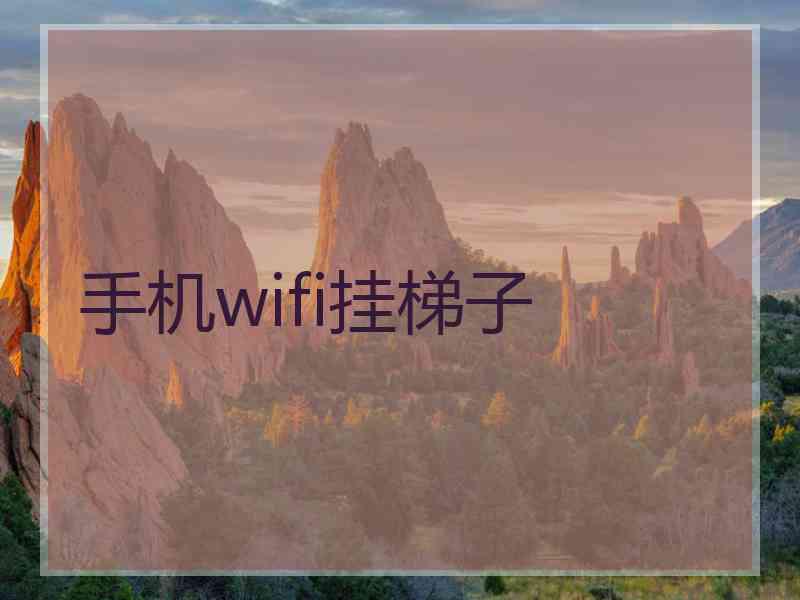 手机wifi挂梯子