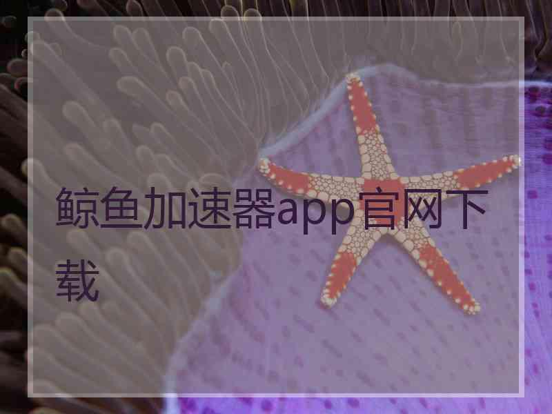 鲸鱼加速器app官网下载