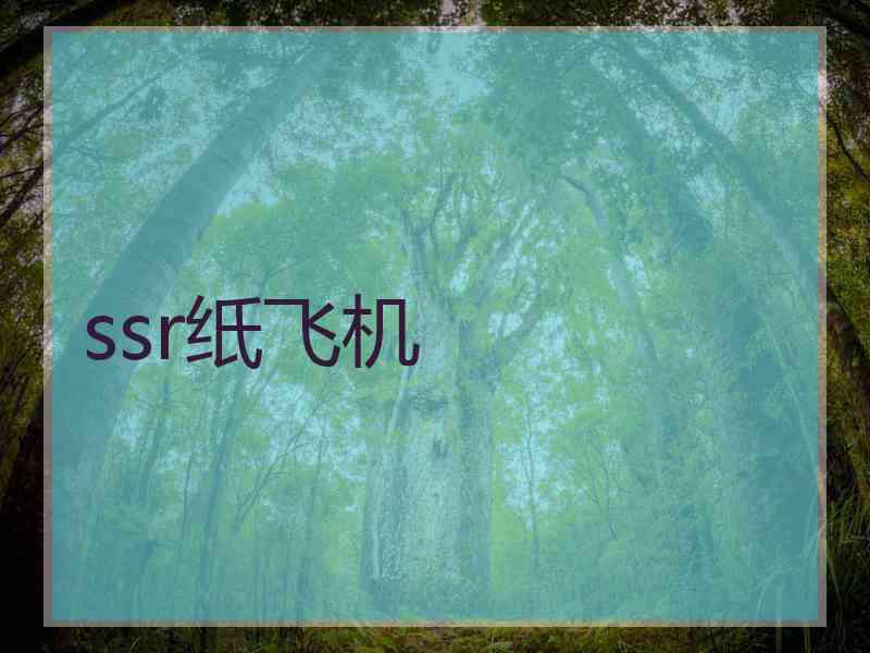 ssr纸飞机