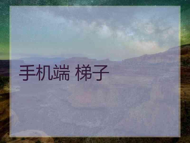手机端 梯子