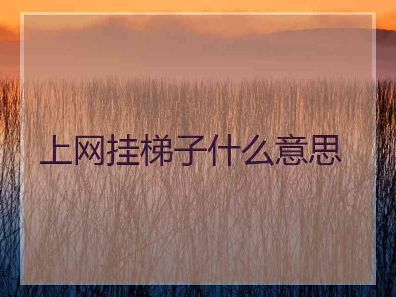 上网挂梯子什么意思