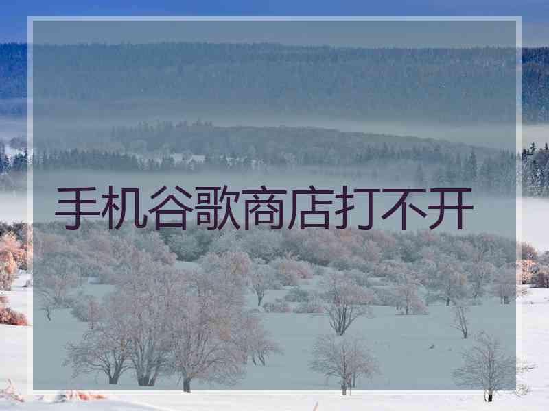 手机谷歌商店打不开
