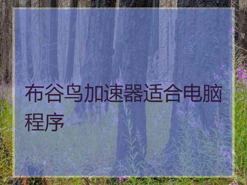 布谷鸟加速器适合电脑程序