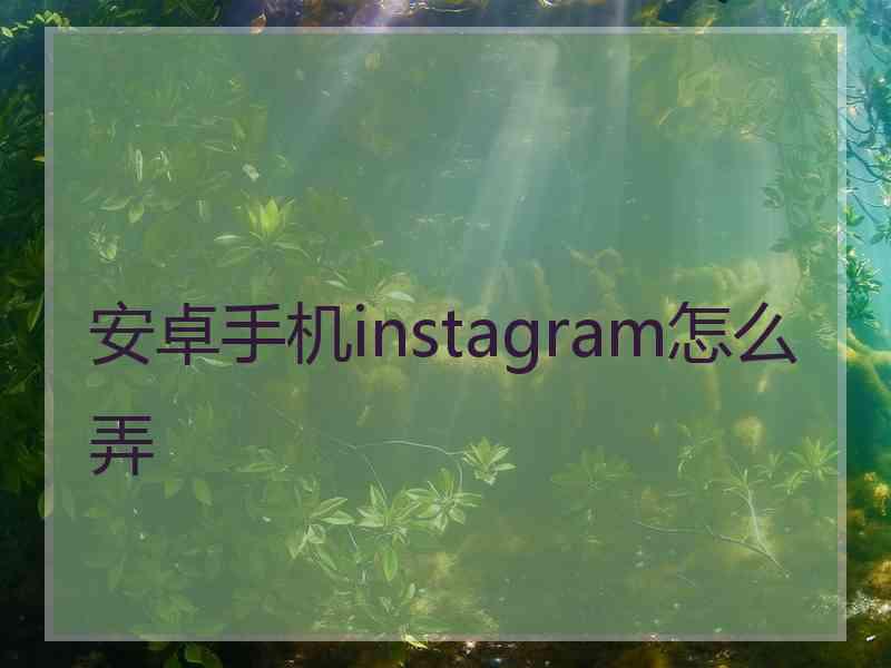 安卓手机instagram怎么弄