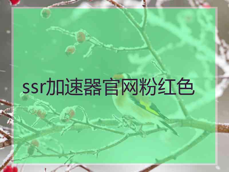 ssr加速器官网粉红色