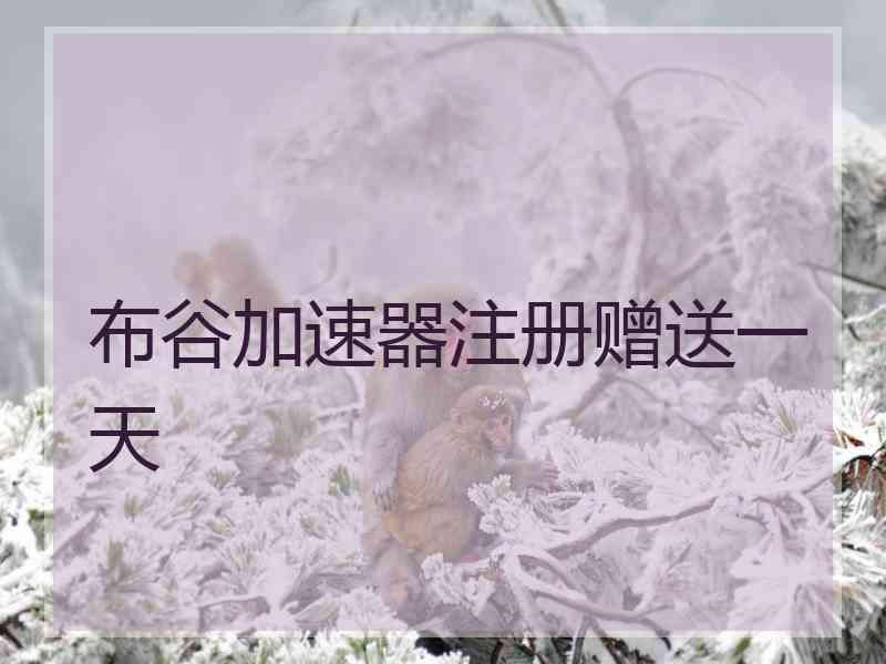 布谷加速器注册赠送一天