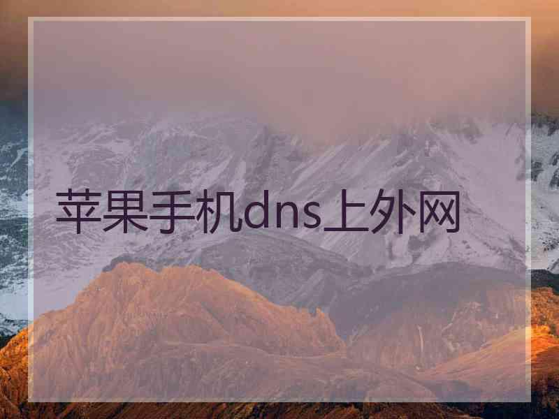 苹果手机dns上外网