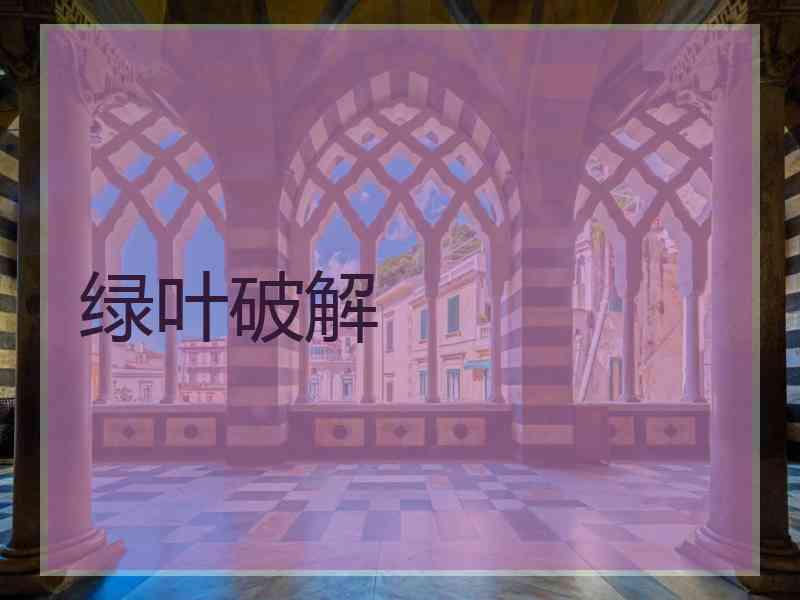 绿叶破解