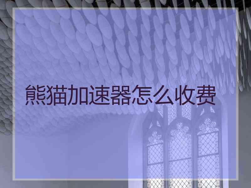 熊猫加速器怎么收费