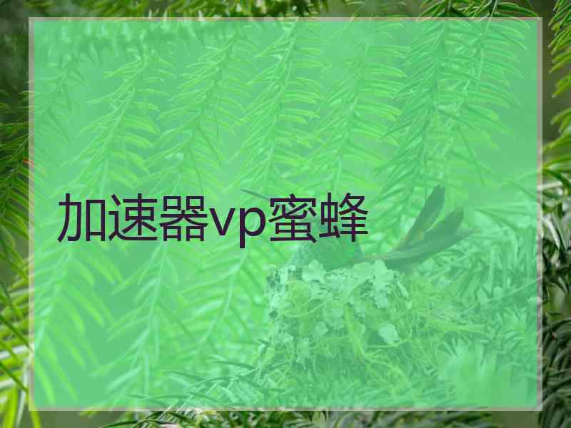 加速器vp蜜蜂