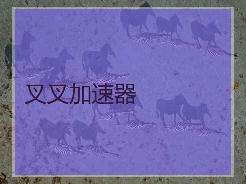 叉叉加速器