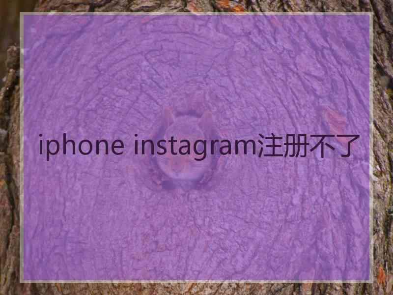 iphone instagram注册不了