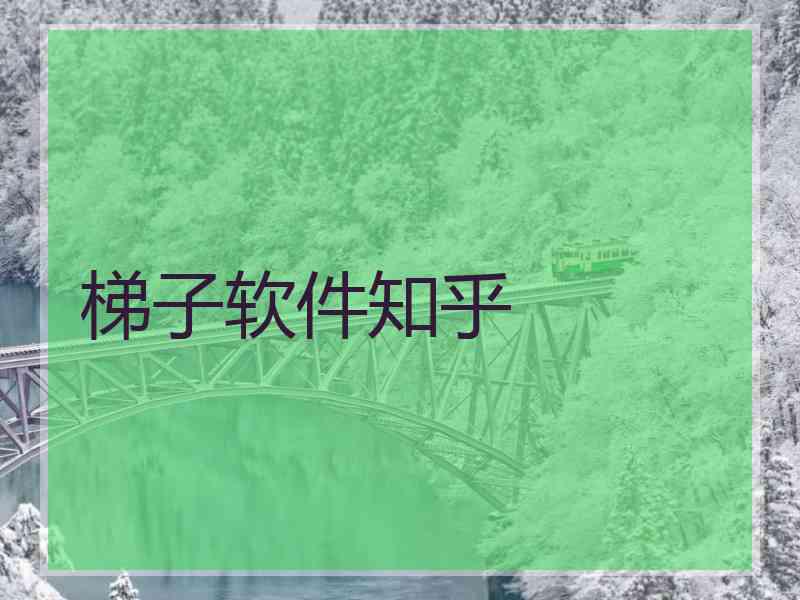 梯子软件知乎