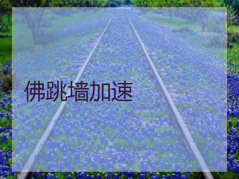 佛跳墙加速
