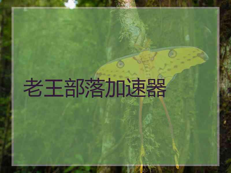 老王部落加速器