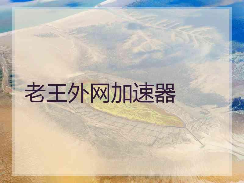 老王外网加速器